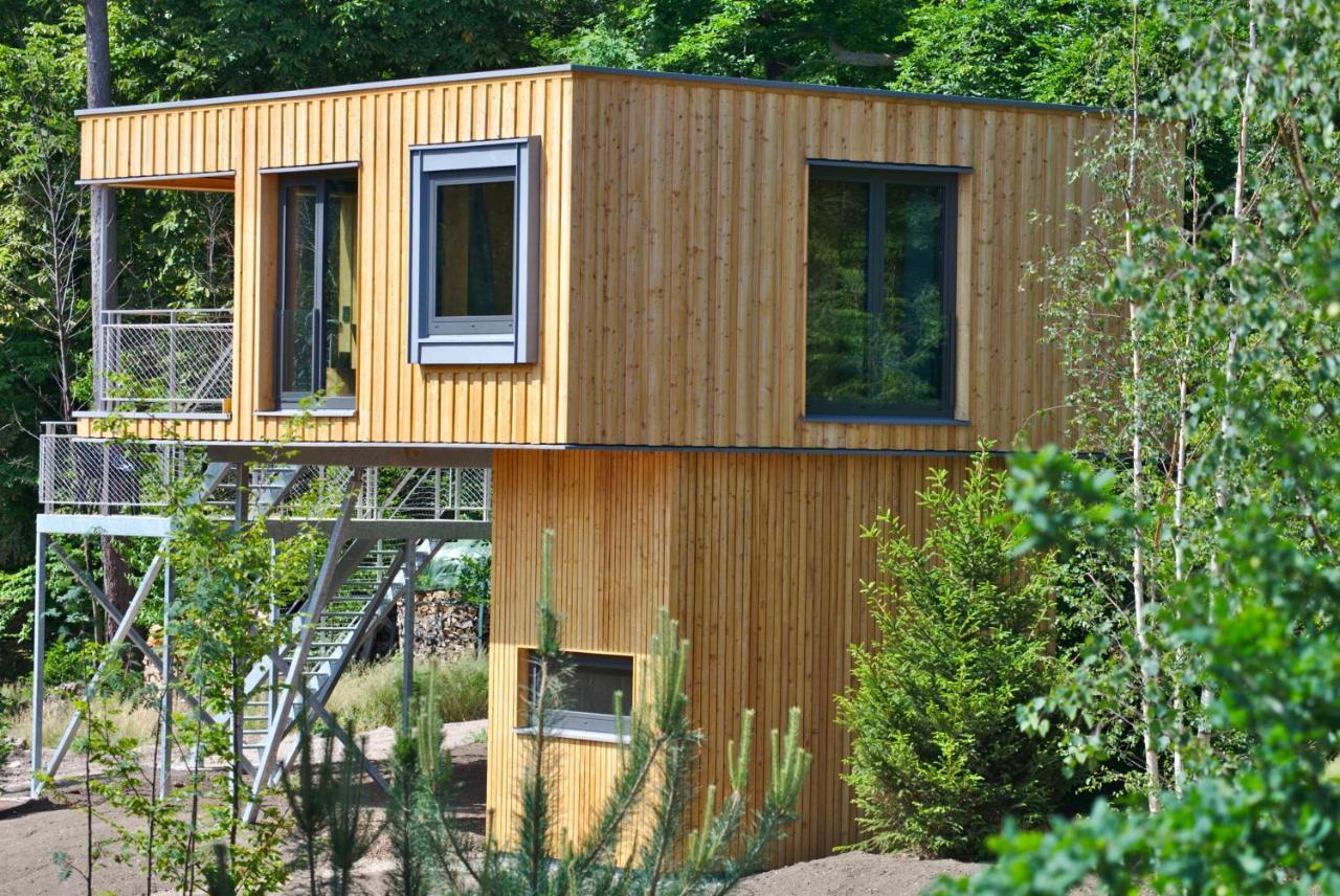 Baumwipfel-Resort "Lug Ins Land" Ilsenburg Kültér fotó