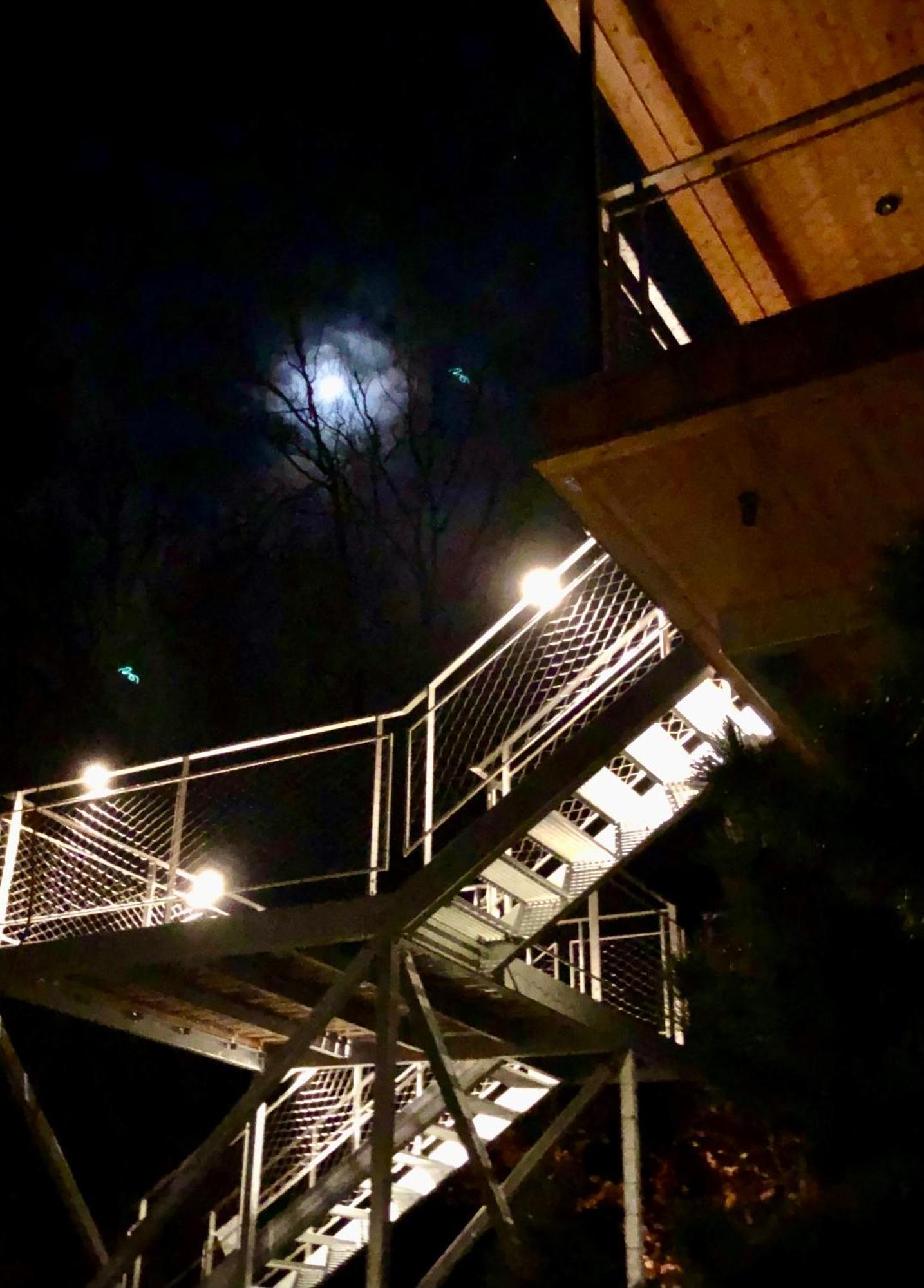 Baumwipfel-Resort "Lug Ins Land" Ilsenburg Kültér fotó